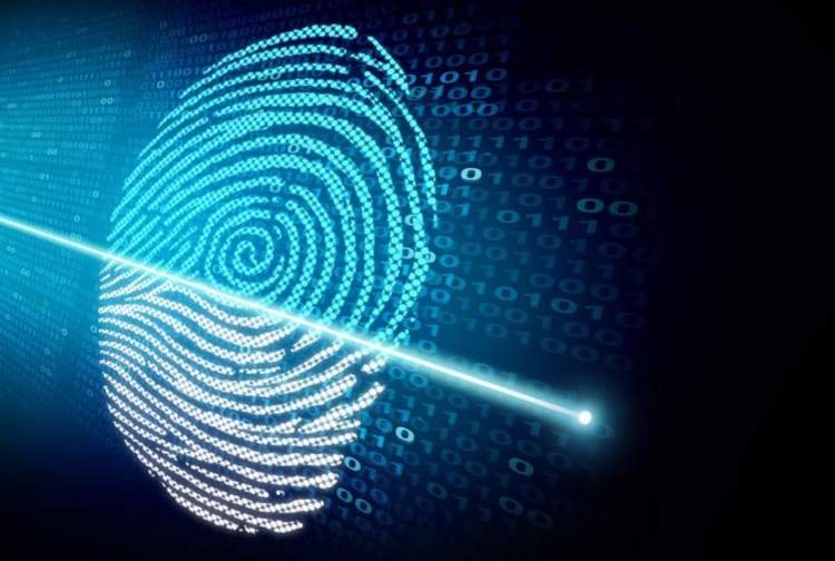 biometria ISO padrão