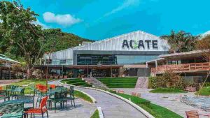 A ACATE (Associação Catarinense de Tecnologia) e Gama Academy criam programa de aceleração para desenvolvedores e profissionais no setor de tecnologia,