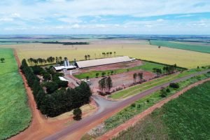 Construída ao lado de uma reserva ambiental, a Usina Santo Ângelo precisava de uma solução de proteção perimetral com alta tecnologia integrada.